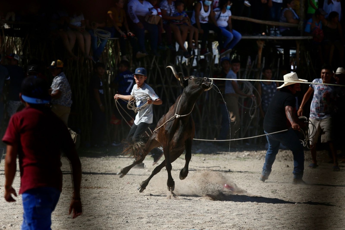 Torneo De Lazo