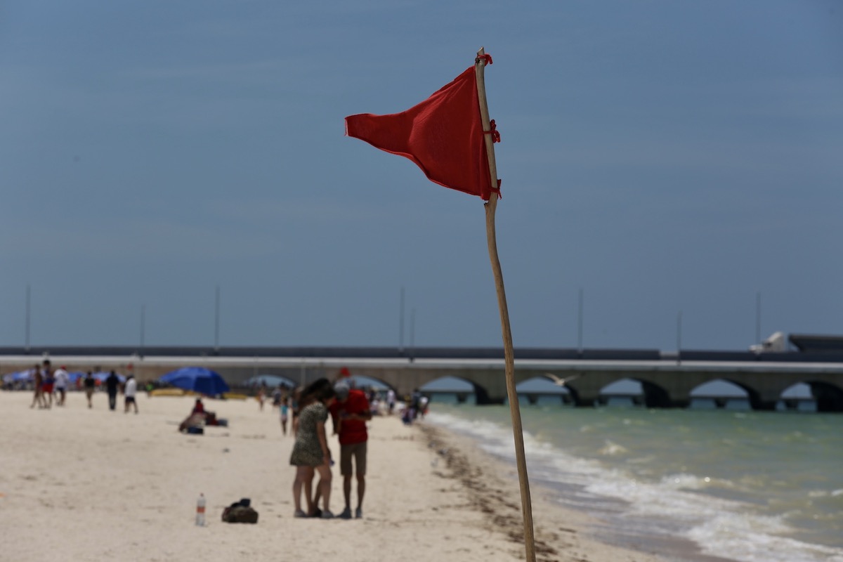 Marea Roja 11