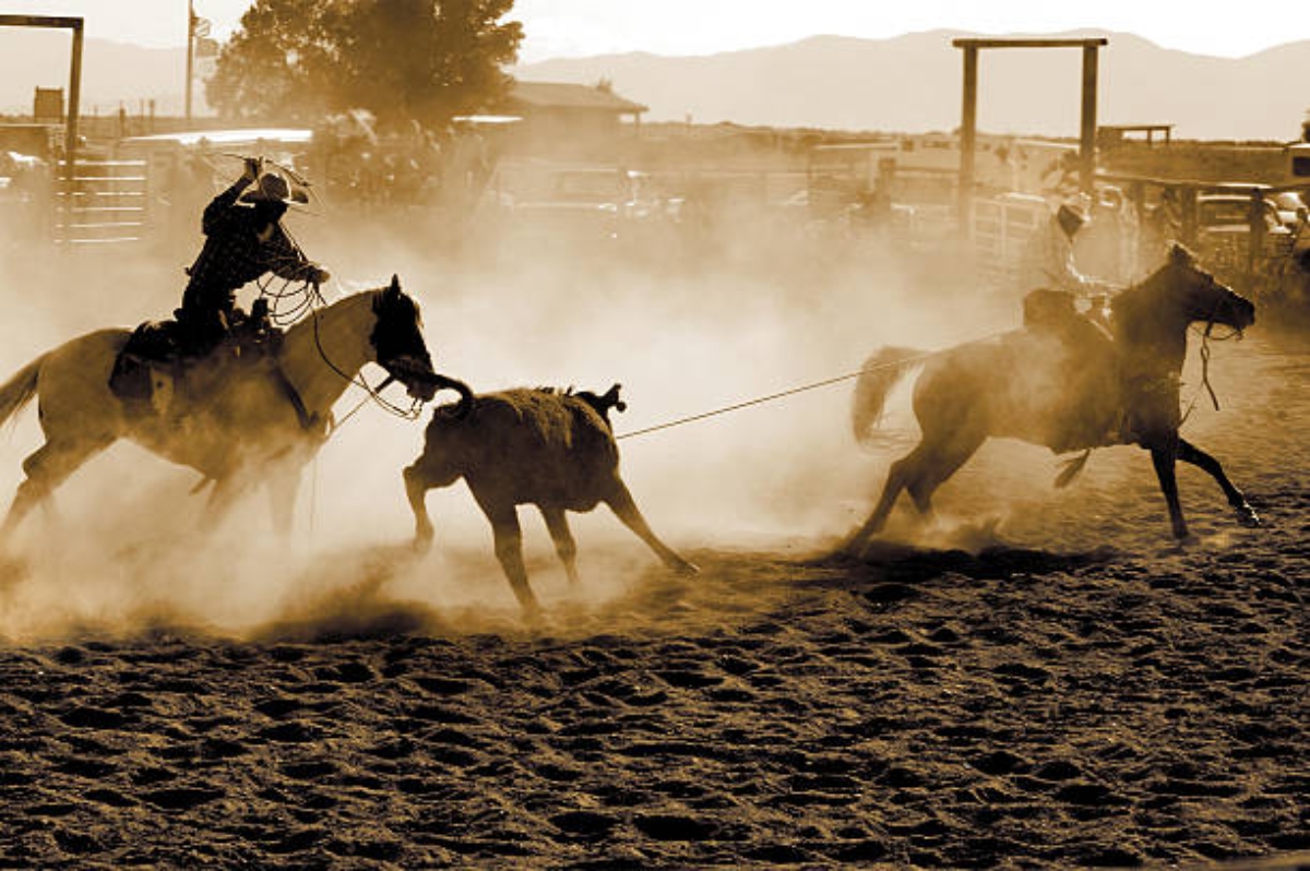 Torneo De Lazo (1)