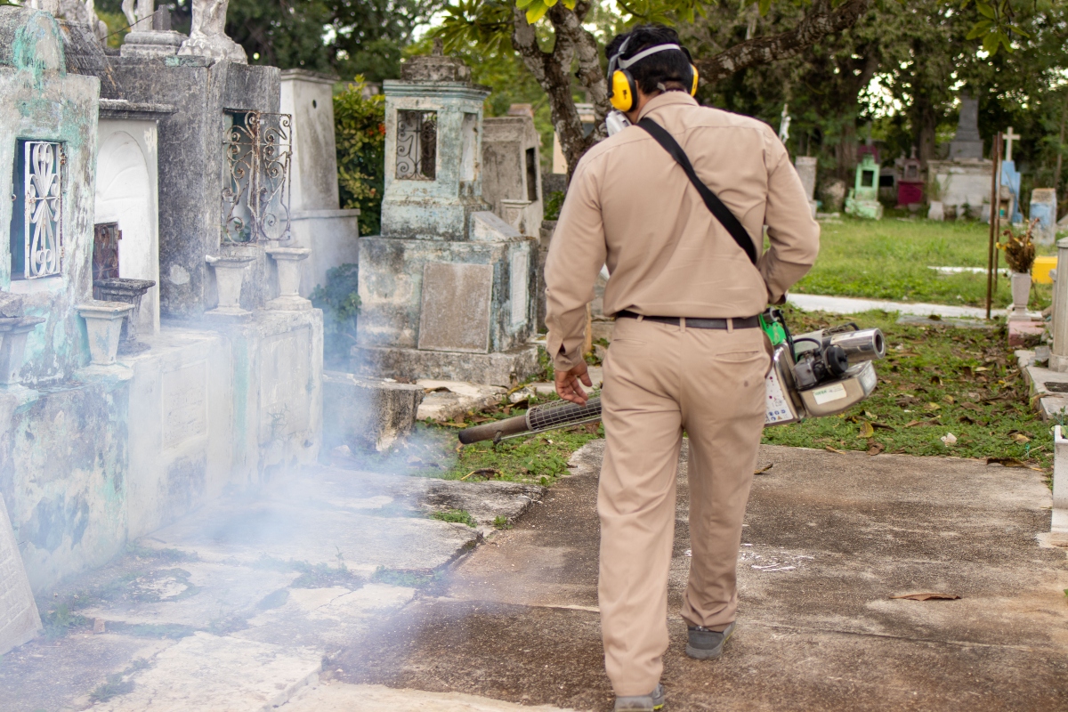 cementeriosfumigación