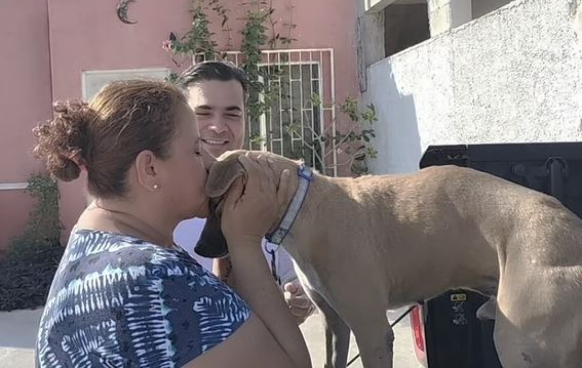 Chino perrito sagrado