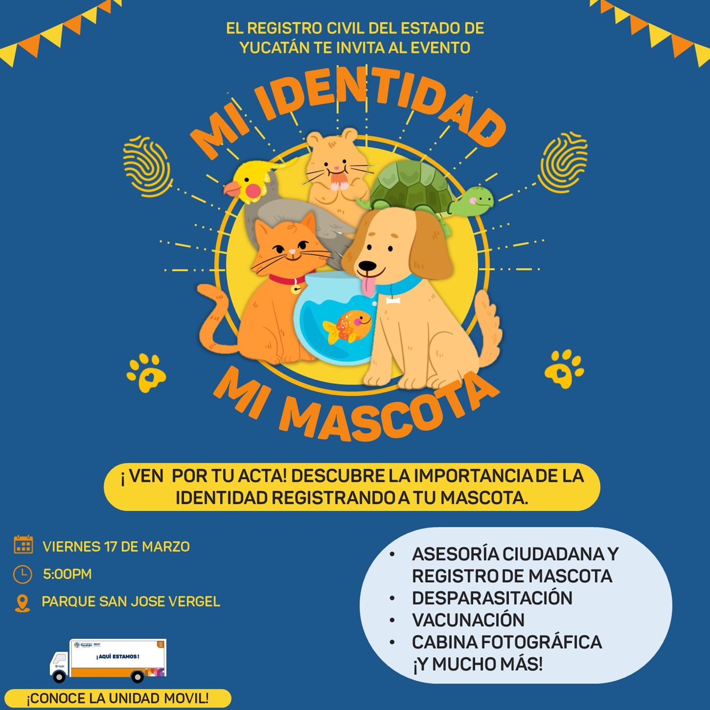 mascotas interior