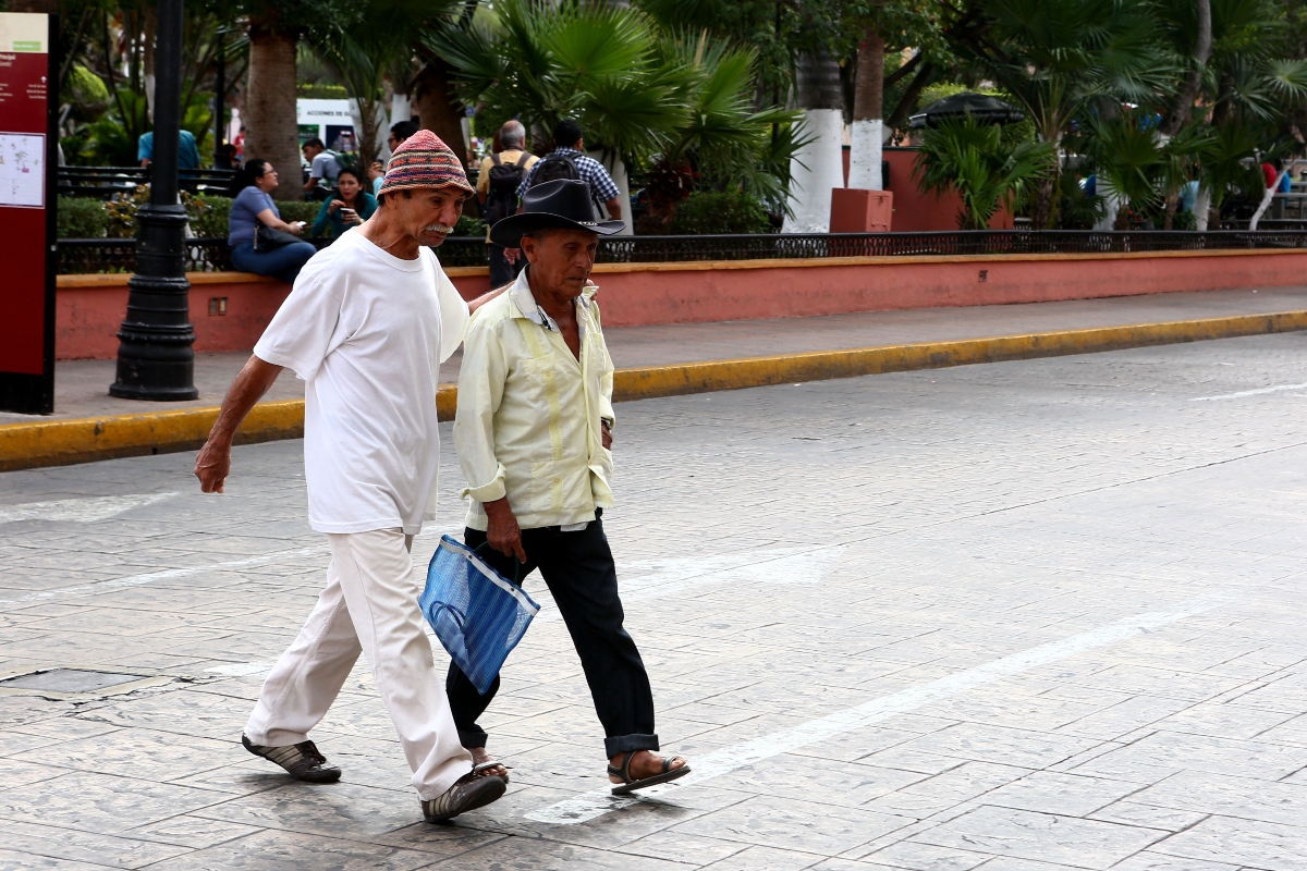 Adultos Mayores