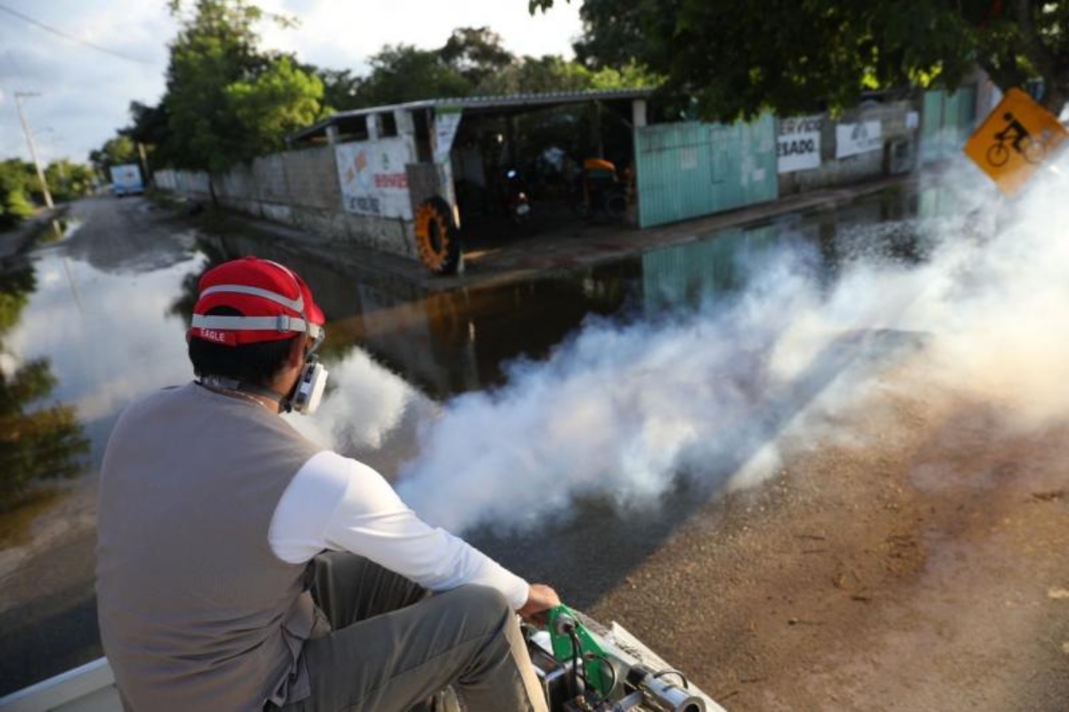 Fumigación Dengue