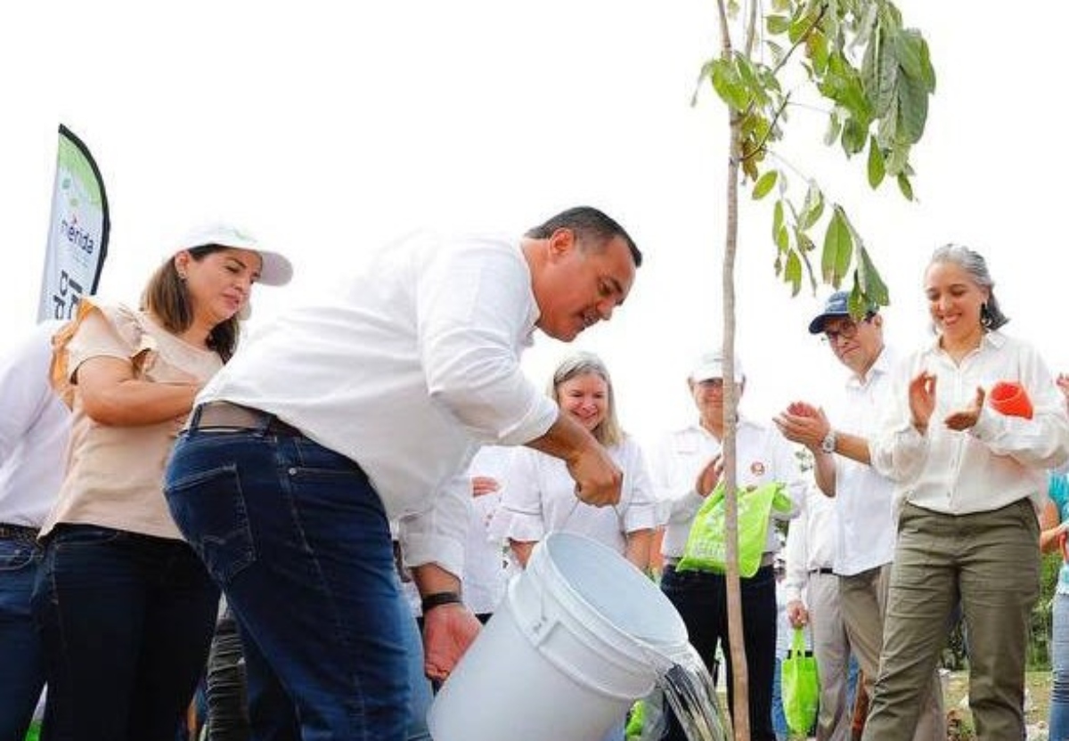 Cruzada Forestal