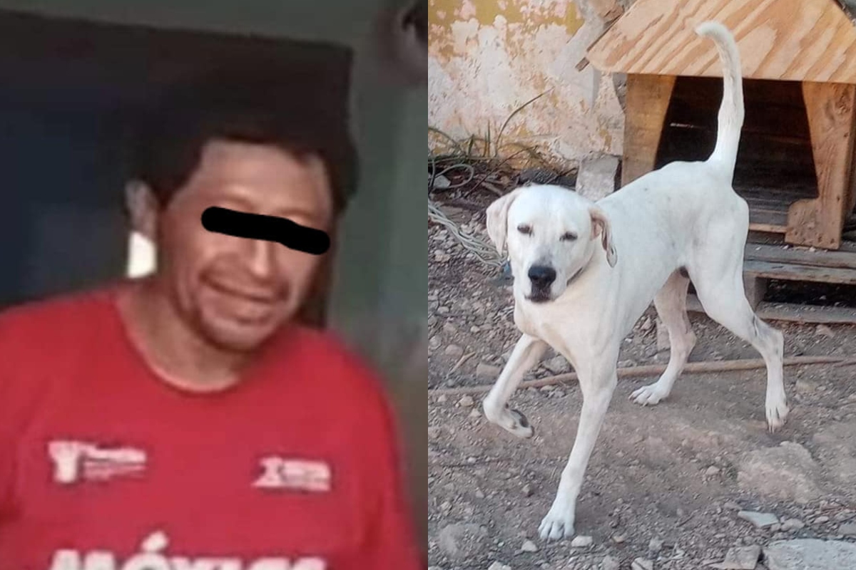 Asesinato Perrito Rufo