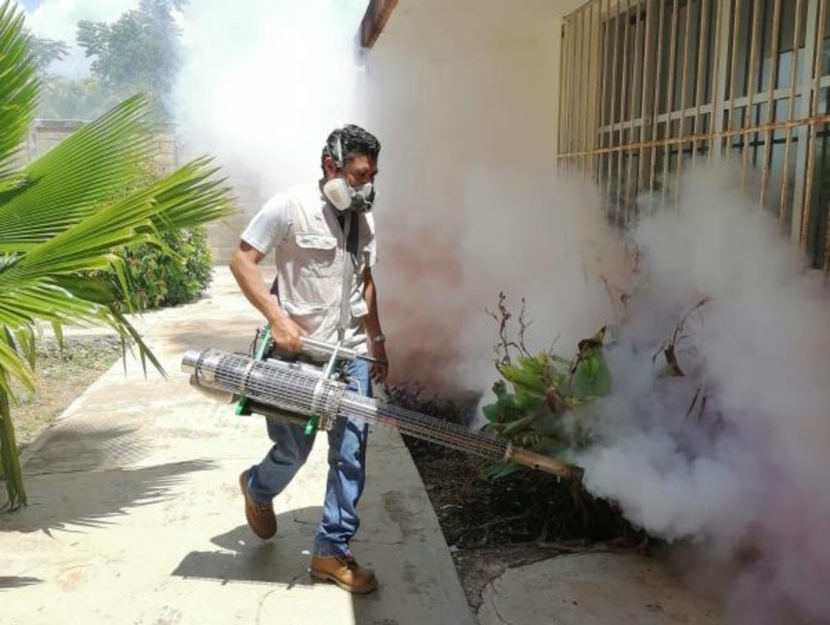 Dengue En Yucatan