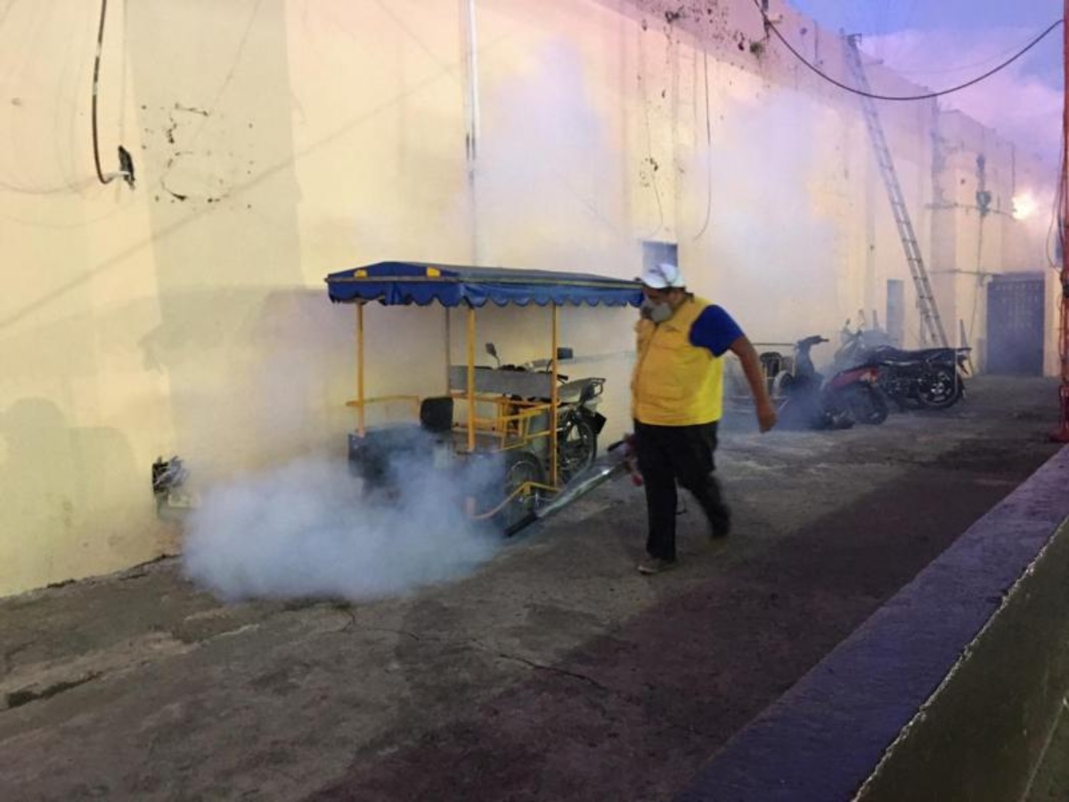 Fumigación Dengue Yucatán