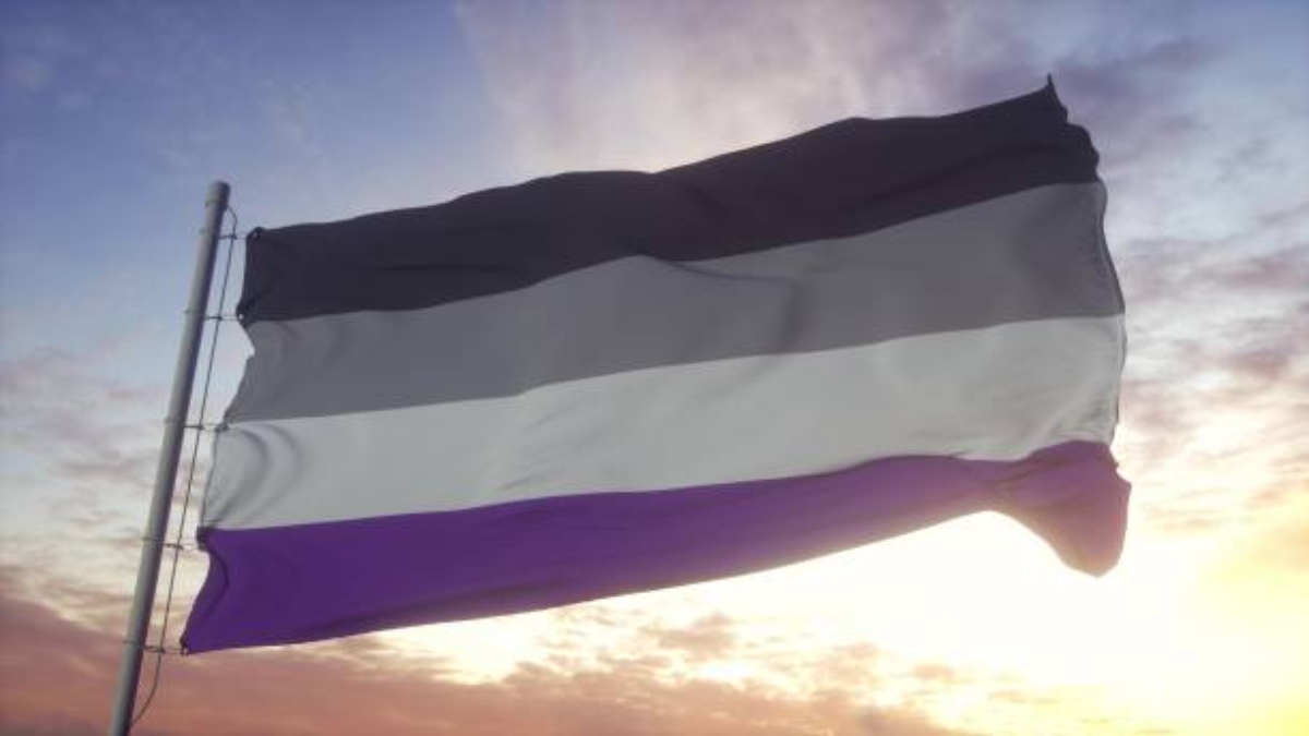 Bandera Asexual