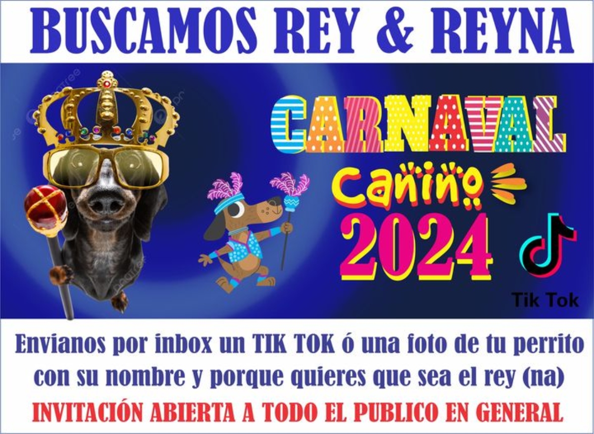 Carnaval Mascotas Interior