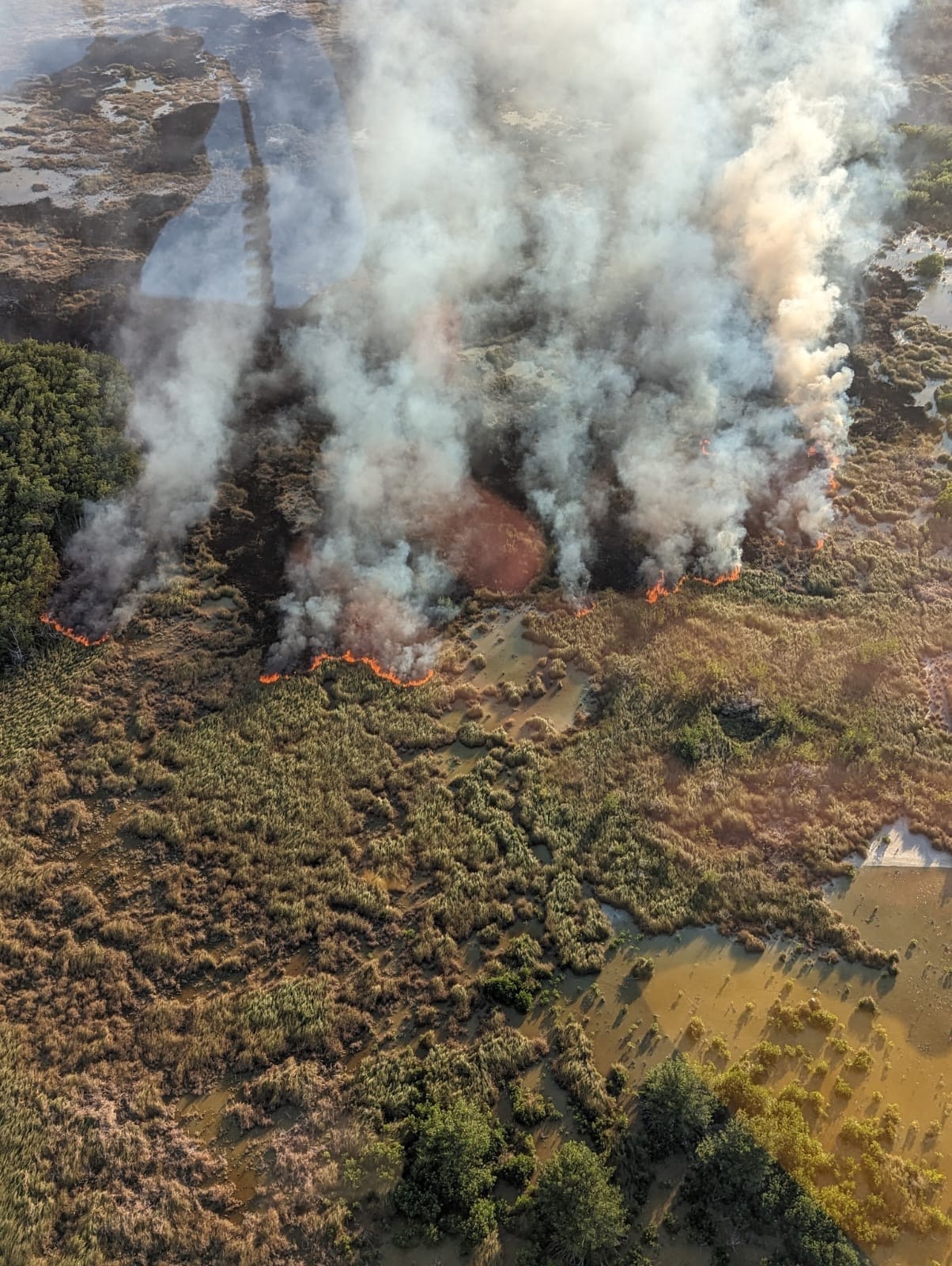 Incendio Forestal 4 Dzilam