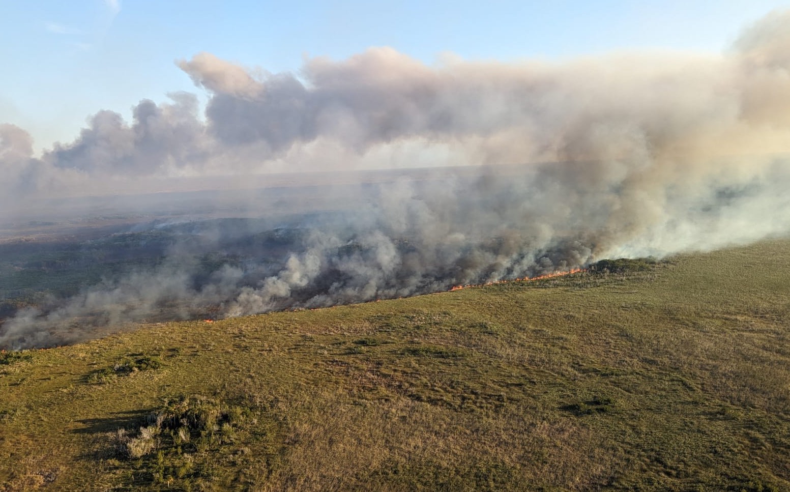 Incendio Forestal Dzilam 3