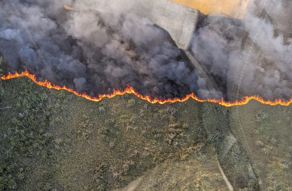 Incendio Forestal Dzilam