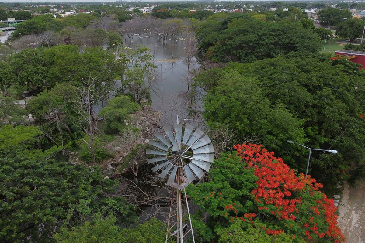 Manto Freatico Yucatan