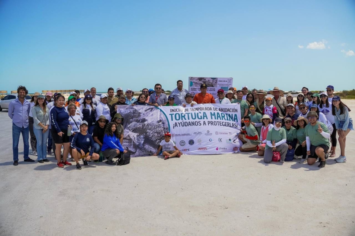Anidacion tortugas progreso 2025