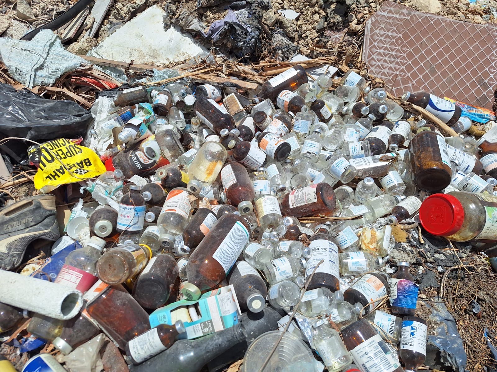 Basura 2