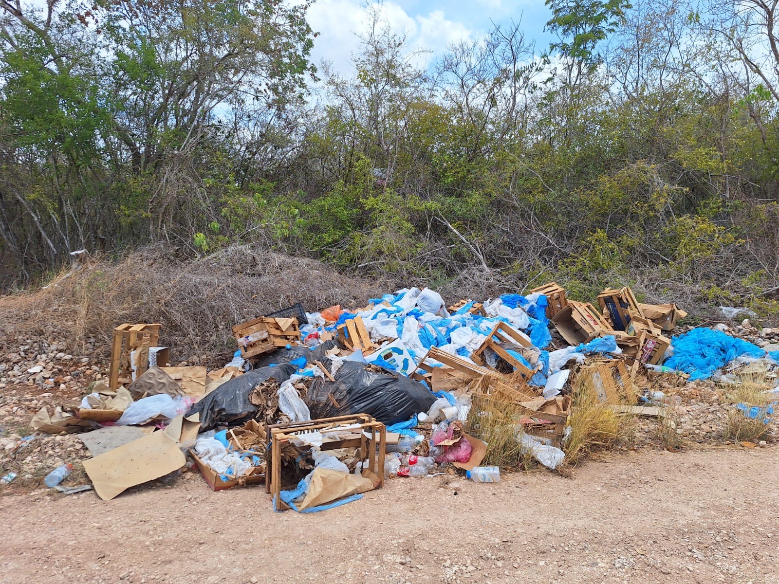 Basura 5
