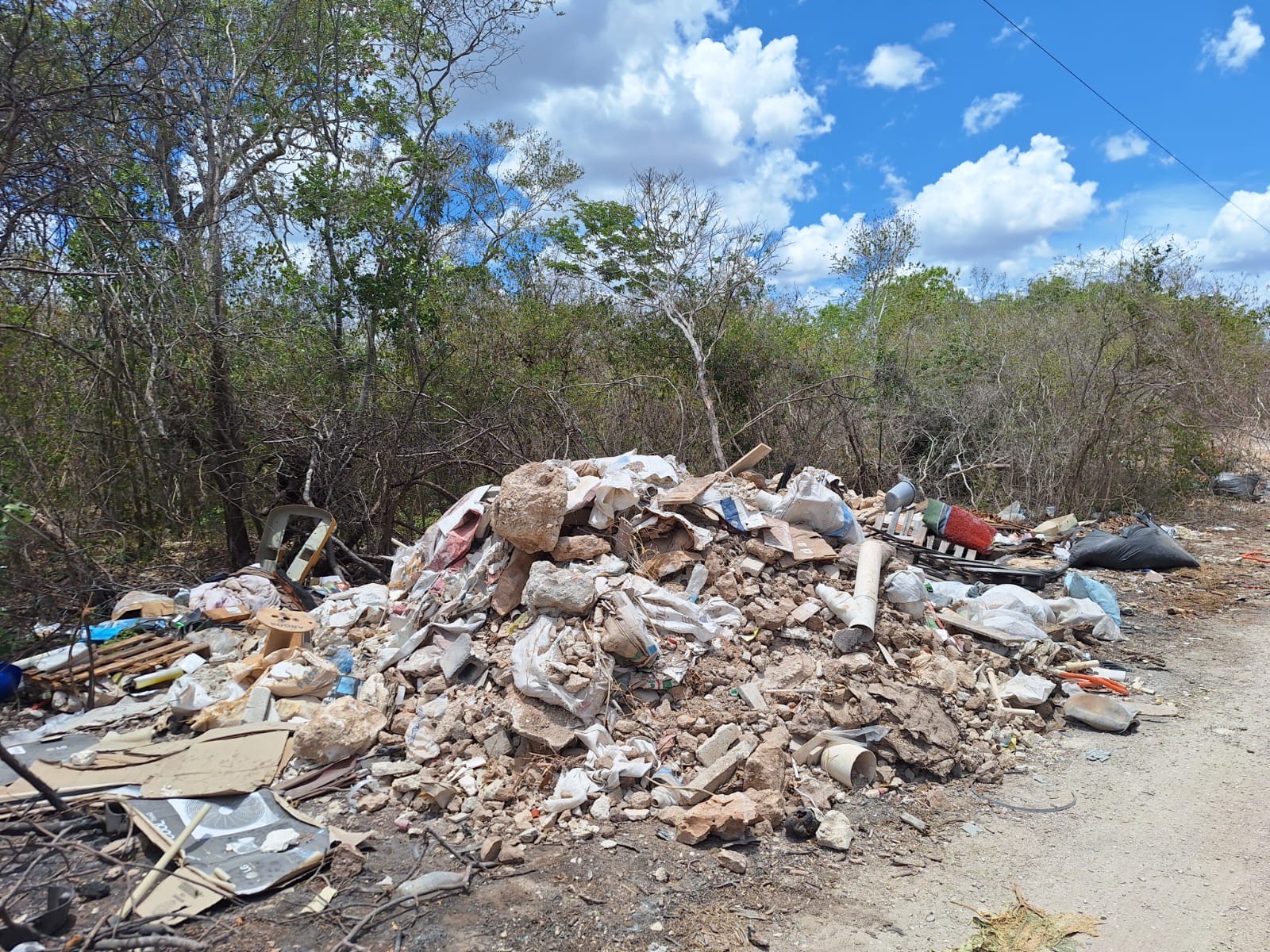 Basura 6