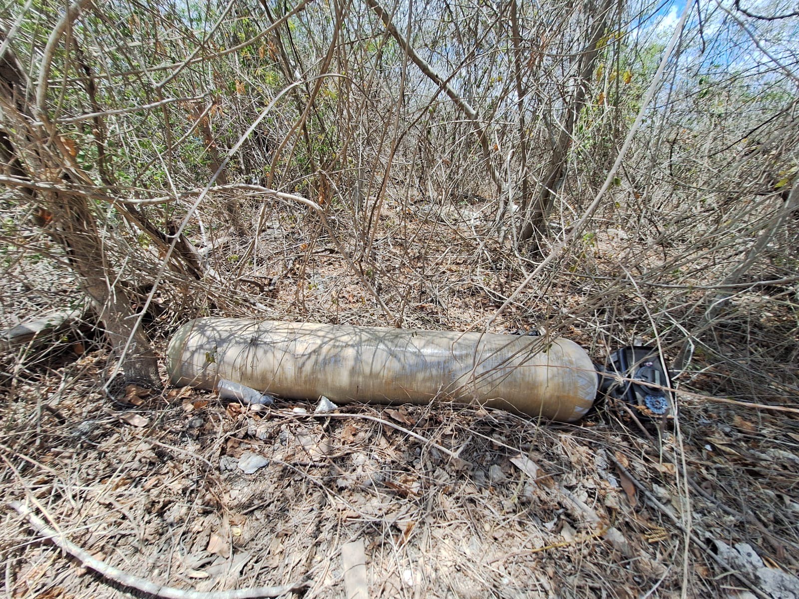 Basura 7