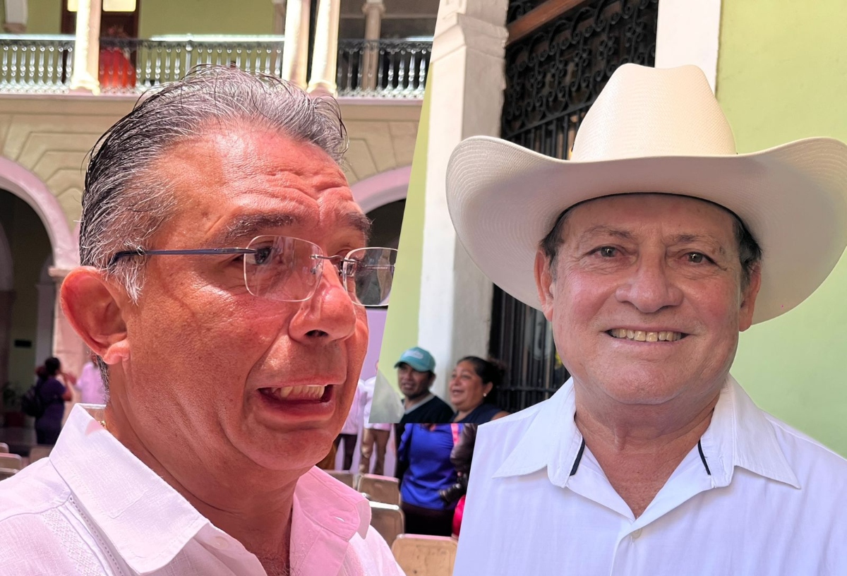Diputados