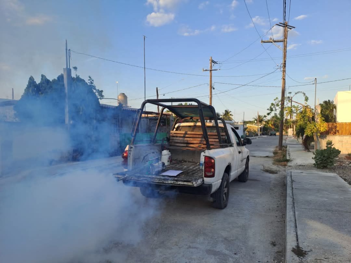 Fumigacion