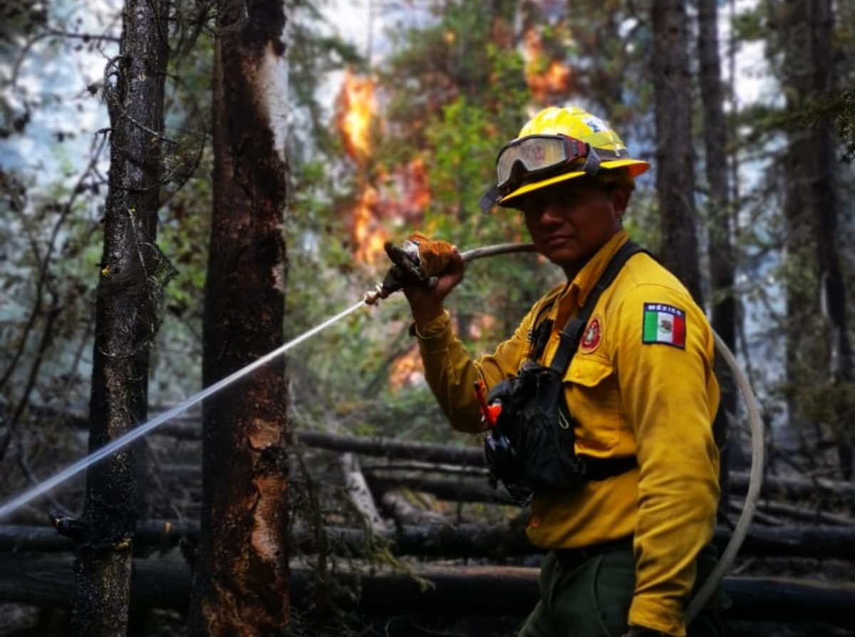 Bombero yucateco