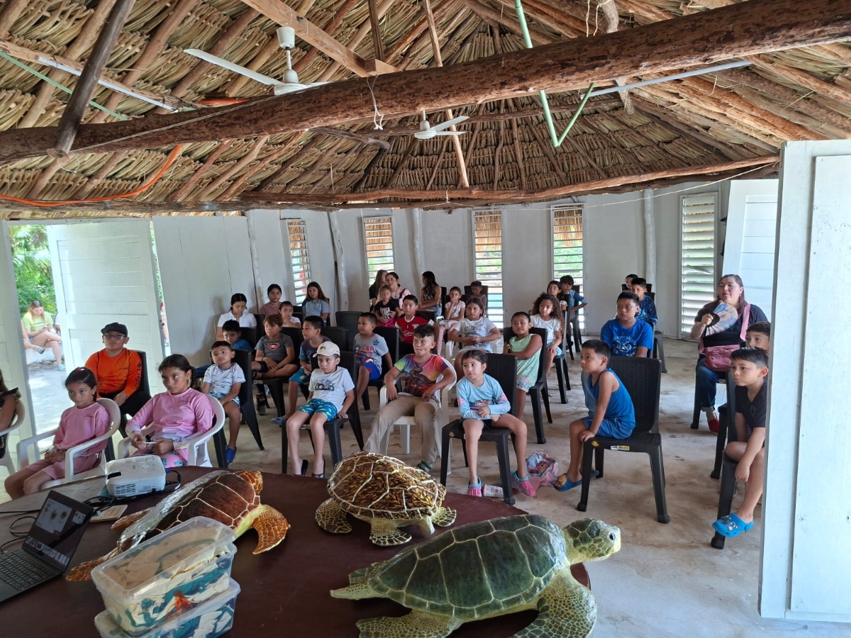 Tortugas
