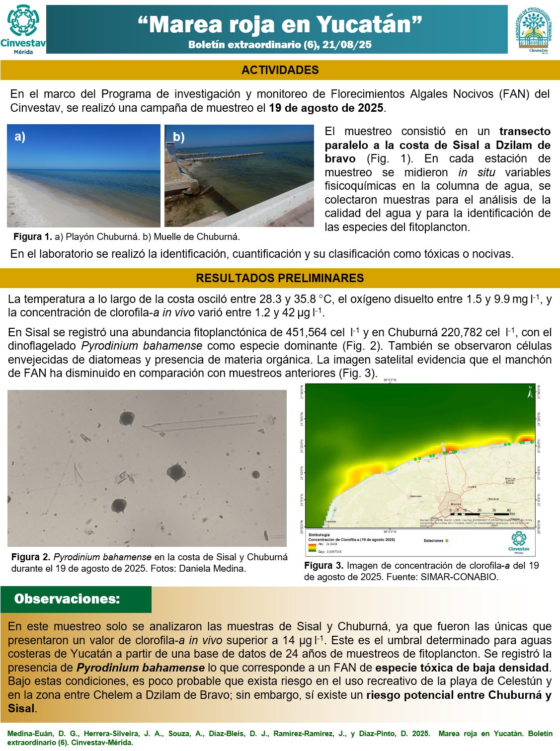 538597691 1234816491782404 6708611967088444692 n