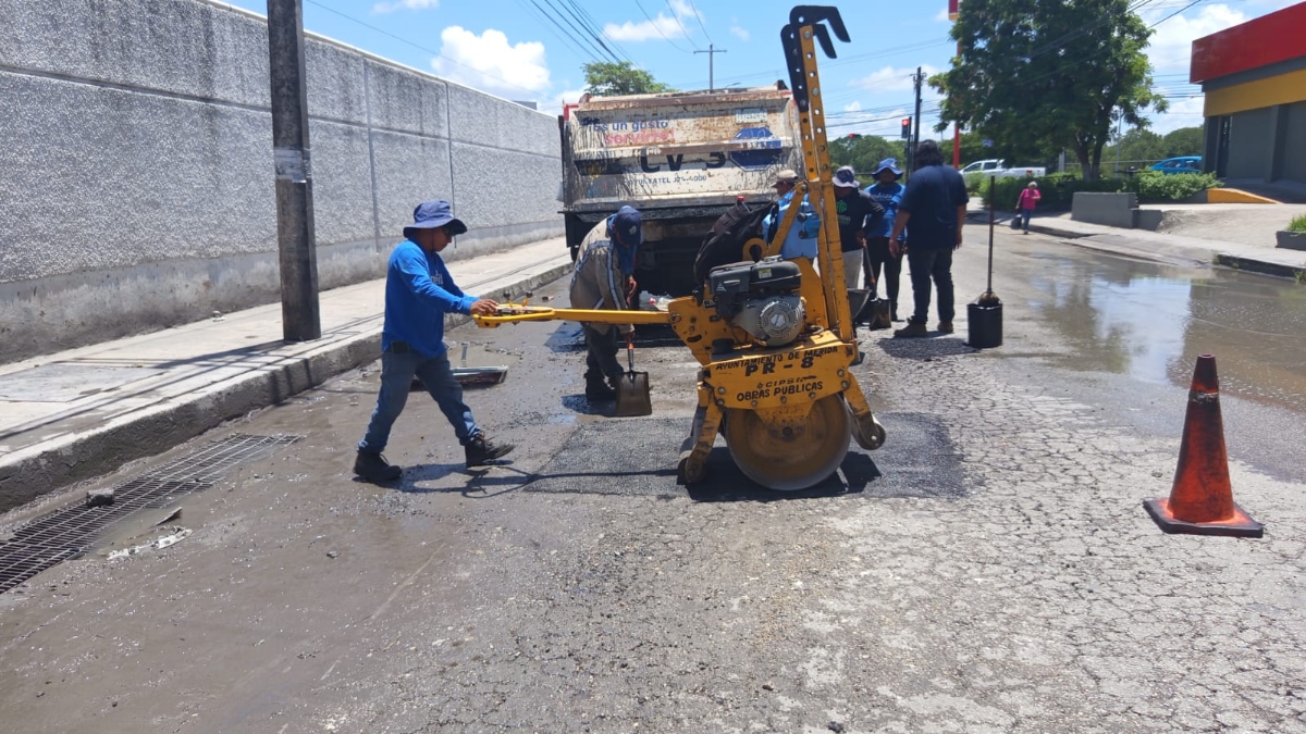 Bache va y ven