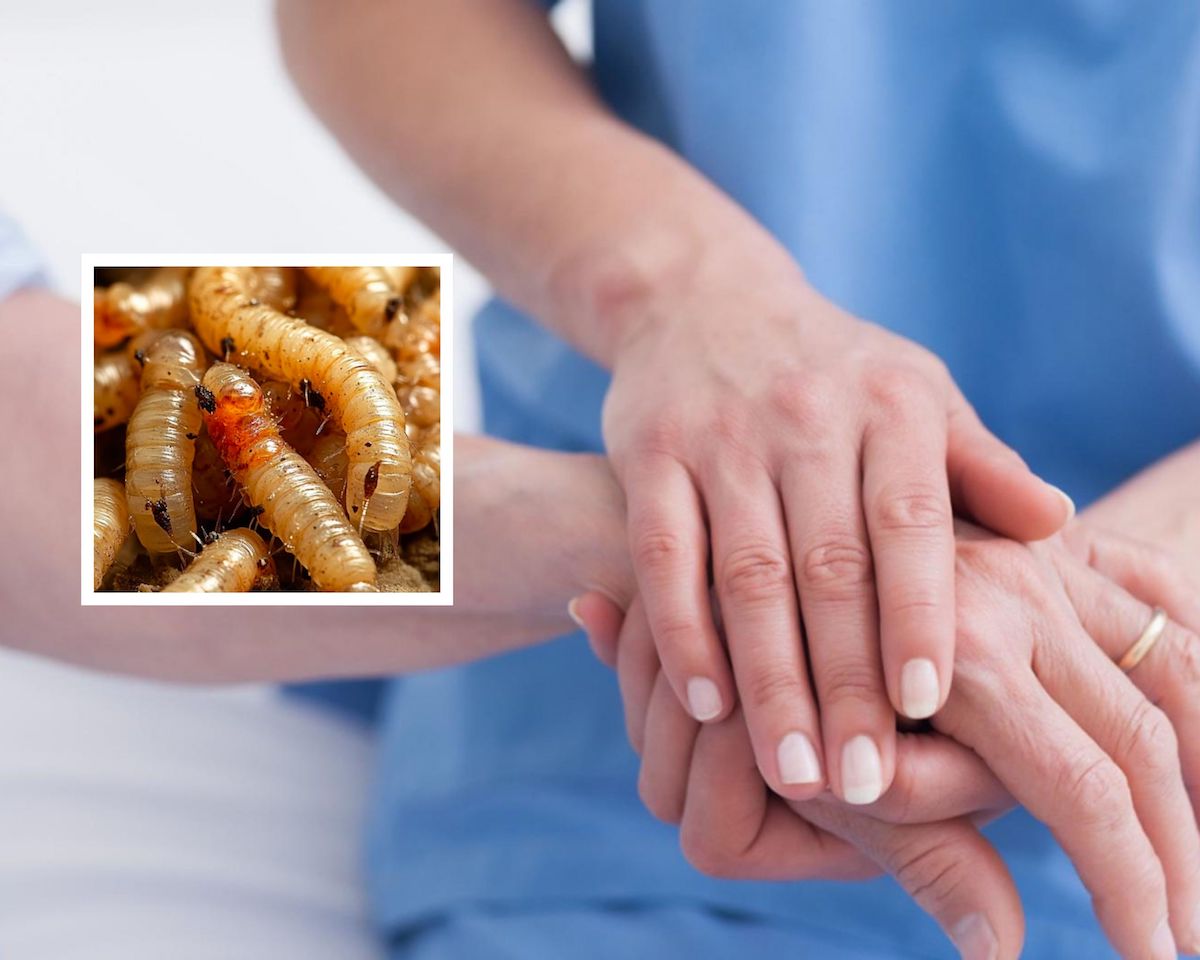 Collage de fotos horizontal hermanos dibujos doodle multicolor 1