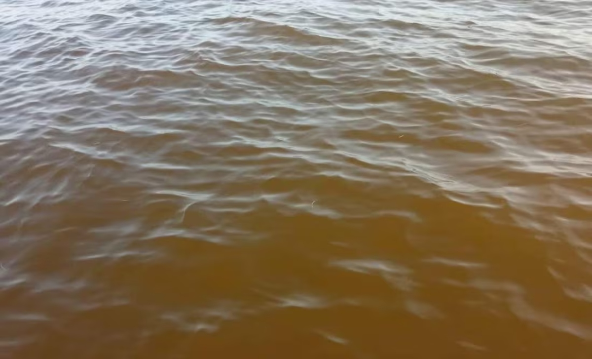 Marea roja (1)