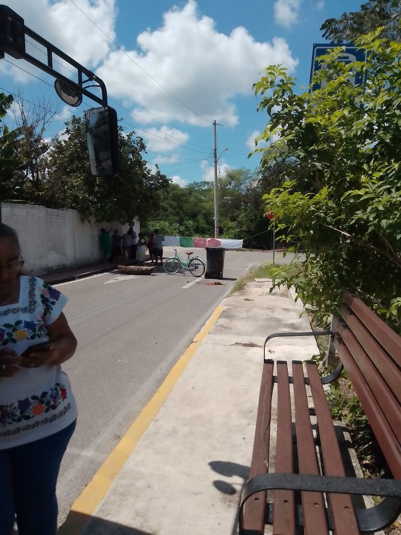 554468804 24761843296780162 5568486692256320613 n