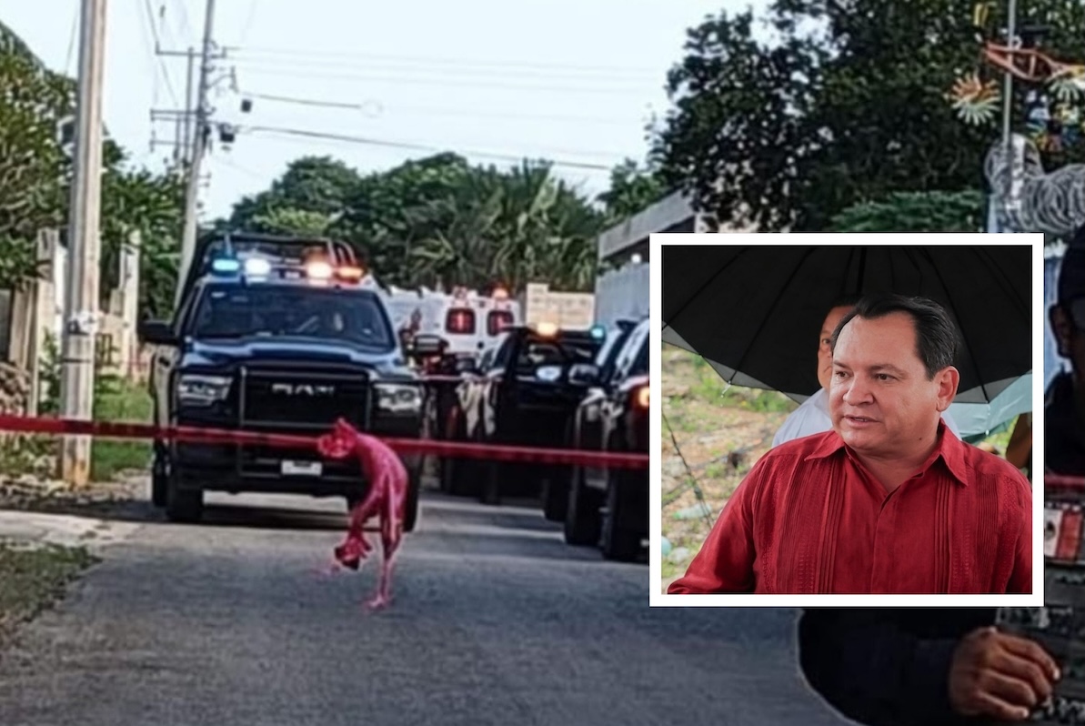 Collage de fotos horizontal hermanos dibujos doodle multicolor 1