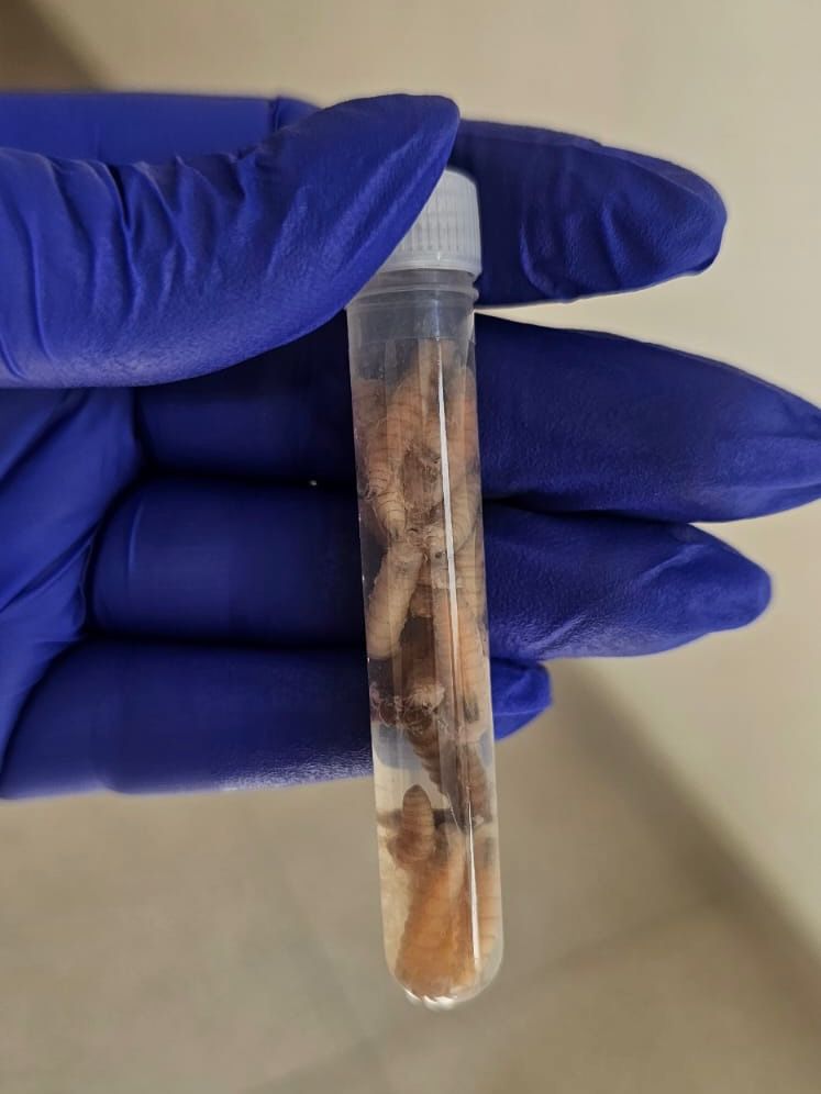 457e1d52 13ec 4685 98af 1c90337dd898