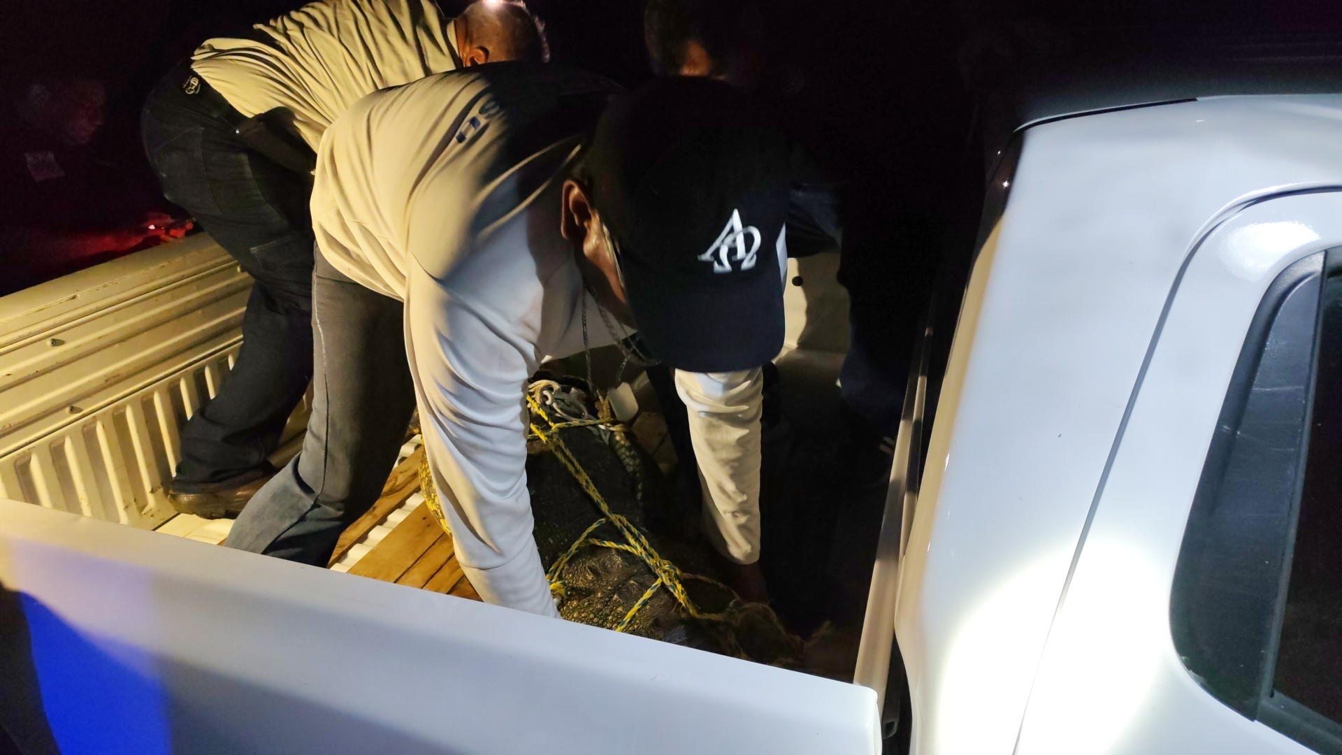 559532759 122182606028517994 5999783828457214846 n