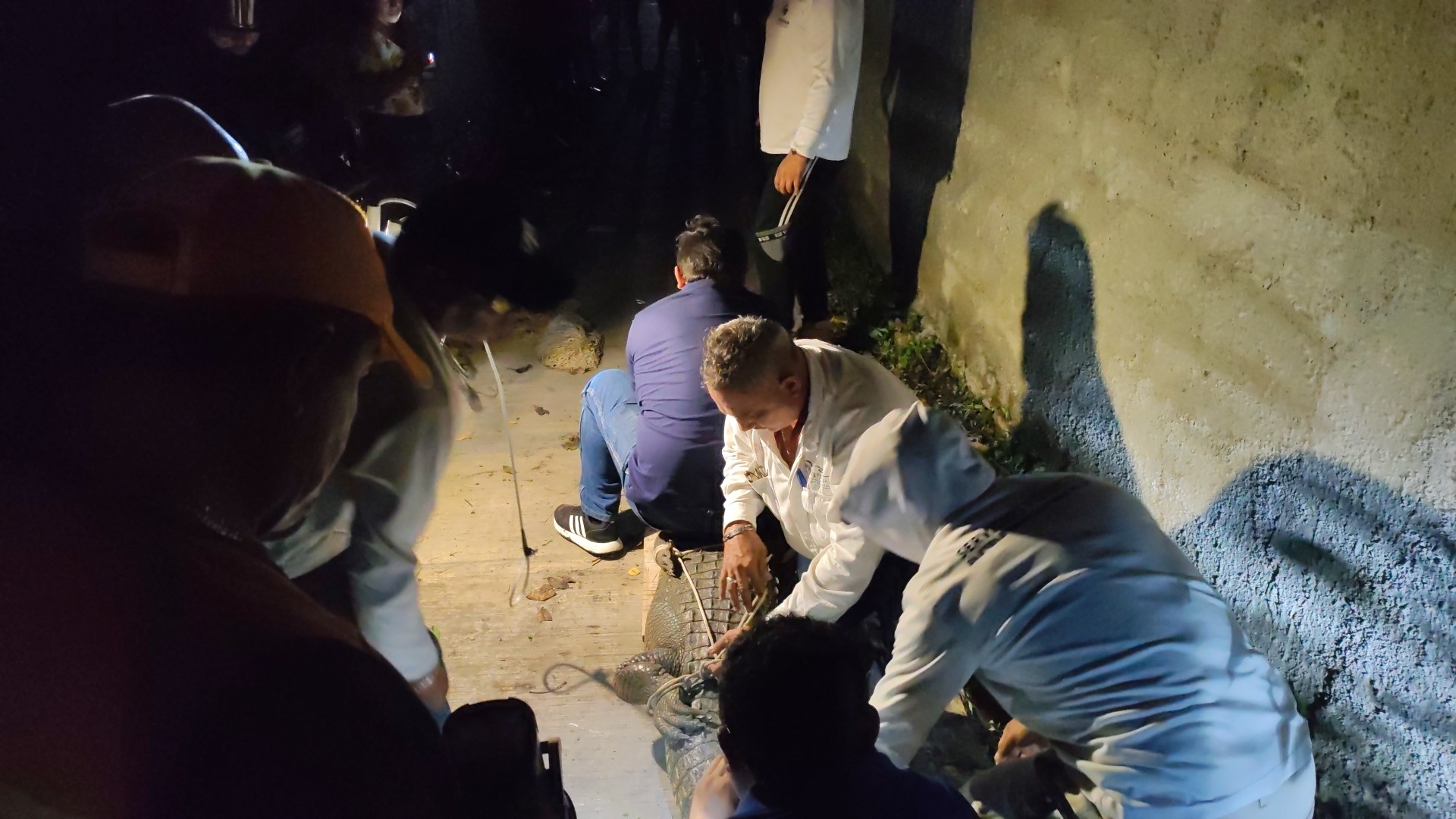 562366333 122182606040517994 328295150893586451 n