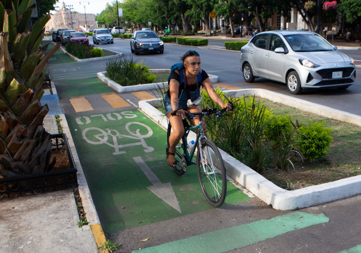 Ciclovia paseo montejo