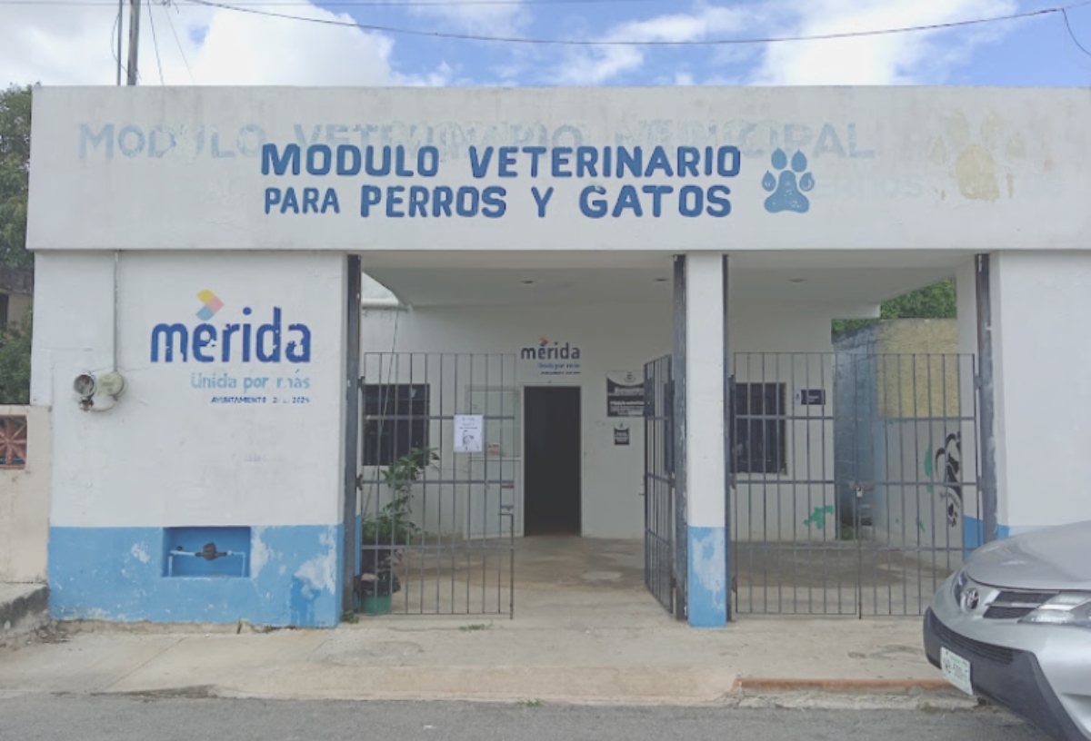 Modulo veterinario